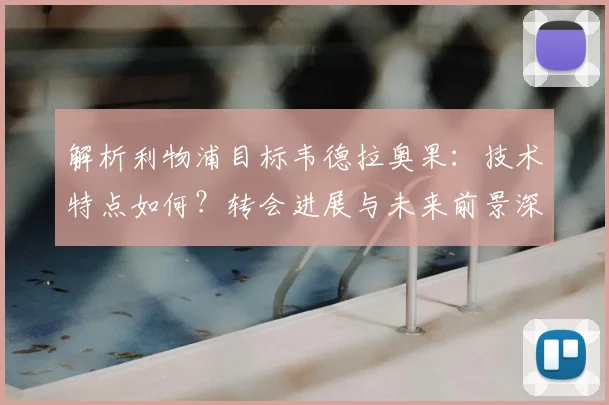 解析利物浦目标韦德拉奥果：技术特点如何？转会进展与未来前景深度分析